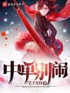 论法师作为一种正常职业的可能性